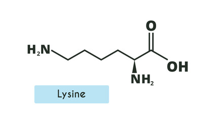 Lysine Molecule Structure.  (l-lysine, Lys, K)  Skeletal formula. Amino acid.