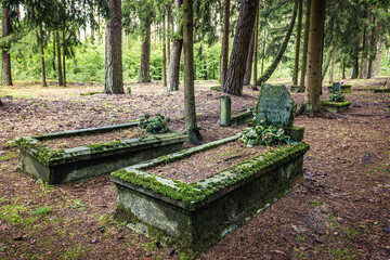 Graves on old Evangelical cemetery near Jeziorowskie village, Warmia and Mazury region, Poland