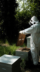 Apiculture, apiculteur, abeilles et miel