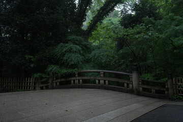 雨の明治神宮