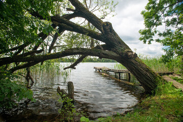 Lakeside on a sunny summer day