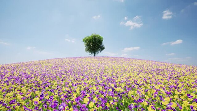 One tree grows on the hill flowers bloom 4k