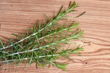 Fresh organic rosemary on a wooden background
