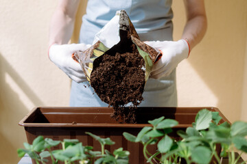 Woman in gloves pouring soil from a bag into a container for plants