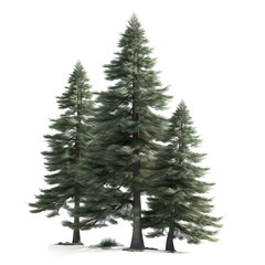 The 3D rendering of pine trees on transparent background is an excellent way to add depth and realism to your digital compositions and architecture visualizations. With its photorealistic look, this 3