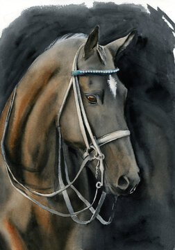 Watercolor illustration of a beautiful and graceful brown horse bowing its head, with reins on a black background