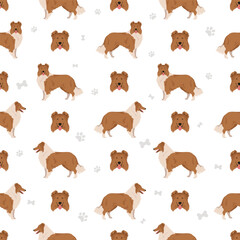 Fototapeta premium Rough collie seamless pattern. Different poses, coat colors set