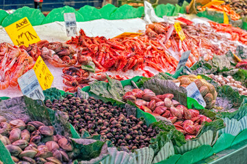 Seafood Wonderland: Exploring the Bountiful Delights of Boqueria Market's Fish Stalls in Barcelona