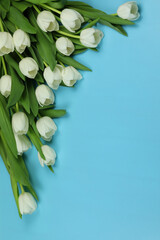Beautiful bouquet of white tulip flowers with card on blue background, space for text