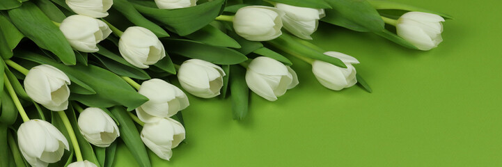Beautiful bouquet of white tulip flowers with card on green background, space for text