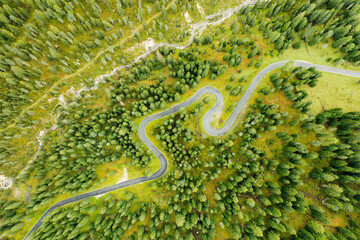 Aerial view of a serpentine in a summer forest.