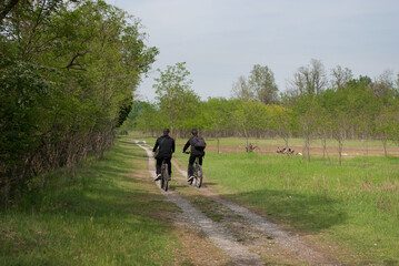 ciclisti pedalano nel sentiero del parco