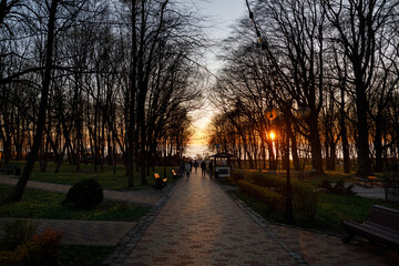 Alley in the public park of Yantarniy at the night, Russia - 596690797