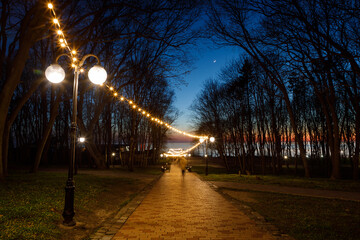 Alley in the public park of Yantarniy at the night, Russia