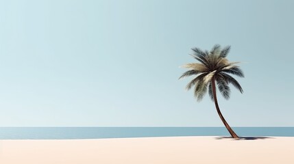 Fototapeta na wymiar Palm tree leafs on the beach