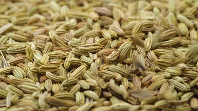 Fennel seeds. Macro shot. Dry fennel seed fall down, macro close up.