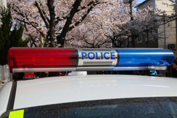 South Korea police car © Tupungato