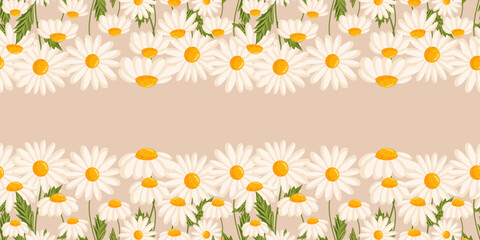 Seamless pattern with blooming daisies. Chamomile vector floral illustration for postcard, poster, fabric, wrapping paper, decor etc. Flowers for spring and summer holidays.