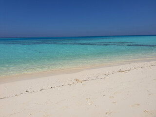 Fototapeta premium beach