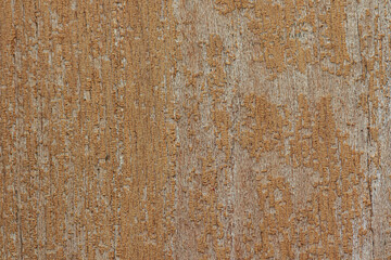 Background of bark in natural light