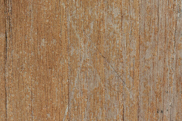 Background of bark in natural light