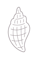 貝がらの手書き線画ベクターイラスト／単色