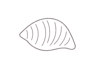 貝がらの手書き線画ベクターイラスト／単色
