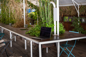 Green open space for coworking, freelancer, relaxation, coffee, food. Free place to work in nature. Remote nomad digital laptop on the table. Outdoor table with laptop. Concept of sustainability