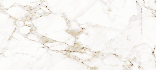 Polished White Marble Slab Texture of the Calacatta type