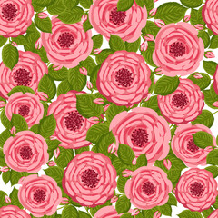 Seamless pattern with blooming roses. Vector floral illustration for postcard, poster, fabric, wrapping paper, decor etc. Flowers for spring and summer holidays.