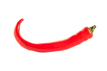 One Red hot chili pepper isolated on white background