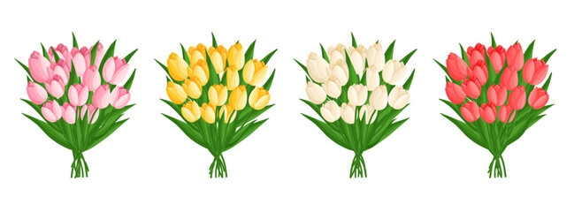 Spring bouquets set with tulips. Floral plants with bright flowers. Botanical vector illustration on isolated background for women's day, mother's day, easter and other holidays.