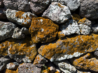 moss stone wall background