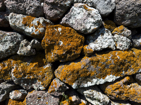 moss stone wall background