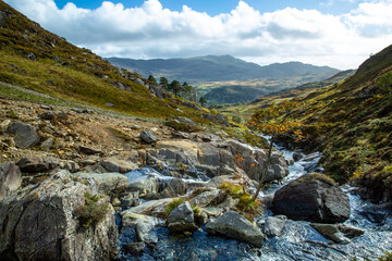 mountain stream in the mountains