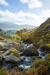 Fototapeta premium stream in the mountains