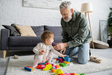 bearded man taking toy out of mouth of toddler granddaughter playing building blocks game on floor in living room.