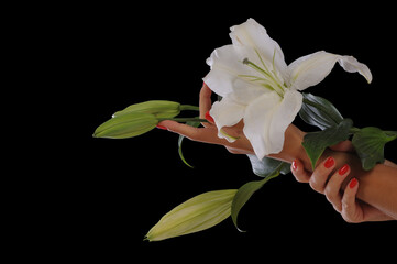 Beautiful young woman hand holding with lily flower, isolated on black background