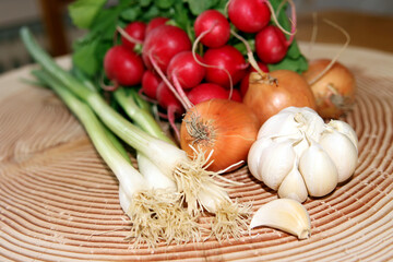 Zwiebel Knoblauch und Radieschen