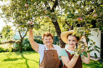 Happy grandmother and granddaughter spend time together at the dacha plot of land, standing under a tree and admiring the harvest of apples together in the garden on late summer weekend.