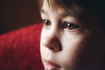 Beautiful brown eyes of 6 year boy looking at screen close-up. Child is watching TV, cartoons or...