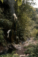 stalagmite on the forest