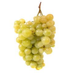 White grapes bunch branch in PNG isolated on transparent background