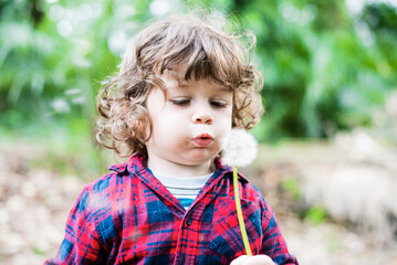 portrait of three year old boy with casual red plaid shirt blowing dandelion in woods
