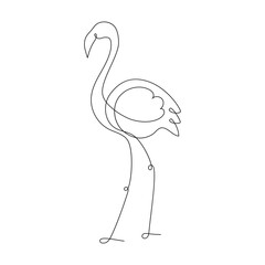 Flamingo one Continuous Line illustration isolated on white background. Single Line Art. Hand Draw tropical bird. Simple outline style. Vector, PNG illustration for card, poster, logo, tattoo.