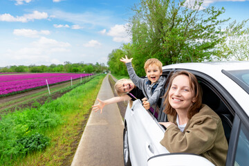 Happy mother with two children boy girl enjoy travel Netherlands against scenic of rows colorful blooming tulips flower field. Family trip mom kids together to dutch countryside flower plant farm - obrazy, fototapety, plakaty