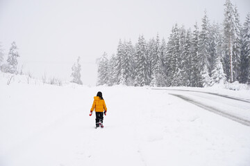 walking home a snowy day in winter