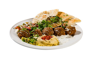 Fresh falafel balls served with veggies, hummus and pita bread