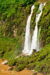Naklejka premium Iguazu Wasserfälle, Iguazu Nationalpark, Brasilien, Südamerika