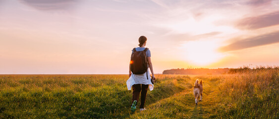 Scenic View Bright Sunbeams. Young Woman Backpacker Walking With Dog In Summer Meadow Grass During...